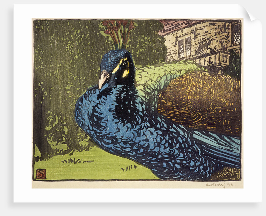 Peacock by Allen William Seaby